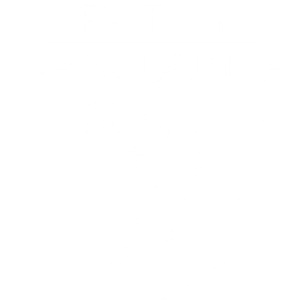 Éxito y Vanguardia